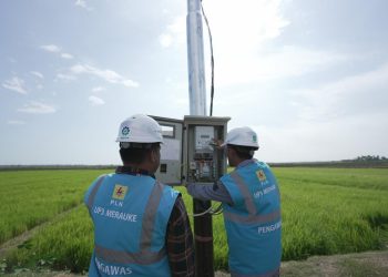 Dukung Transformasi Pertanian Modern, Electrifying Agriculture PLN Raih 53.539 Pelanggan Baru di Tahun 2024