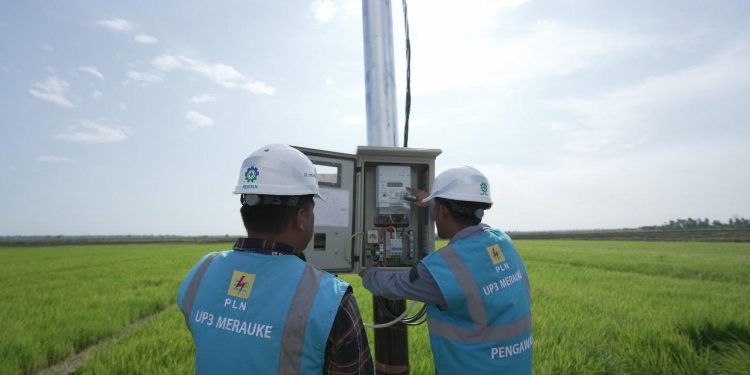 Dukung Transformasi Pertanian Modern, Electrifying Agriculture PLN Raih 53.539 Pelanggan Baru di Tahun 2024