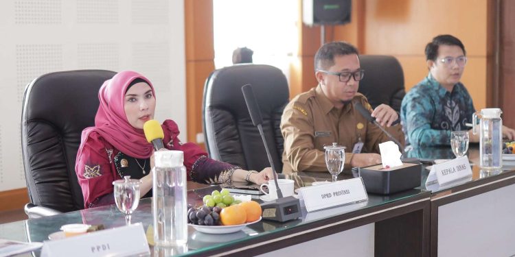 Ketua Komisi III DPRD Kalsel Harapkan Waduk Riam Kiwa Cepat Selesai