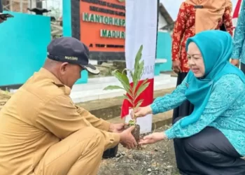TP PKK Tanbu Percantik Desa Madu Retno dengan Bunga Tabebuya