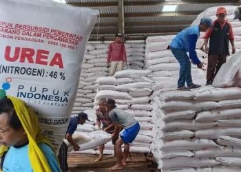 Aturan Beli Pupuk Subsidi 2025