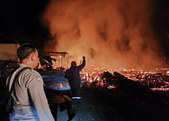 Kandang Ayam Potong di Desa Tegalrejo Kotabaru Ludes Terbakar