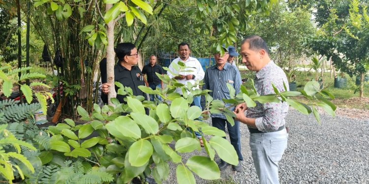 Arboretum Ayu Tirta Siapkan Lahan Penanaman untuk Peserta HPN 2025
