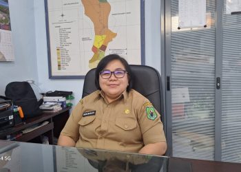 Masih Pemeliharaan, DPUPRPKPP Kapuas Minta Rekanan Tangani Kerusakan Jalan Padat Karya