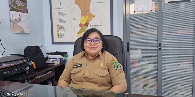 Masih Pemeliharaan, DPUPRPKPP Kapuas Minta Rekanan Tangani Kerusakan Jalan Padat Karya