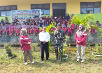 Perpustakaan Kotabaru Gelar Kegiatan Literasi di TMMD Ke-123 Desa Talusi