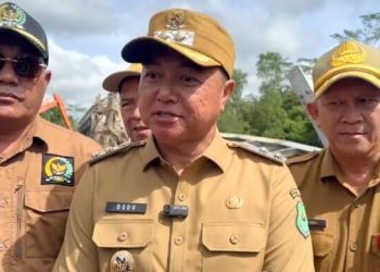 Wabup Kapuas Tinjau Jembatan Ambruk di Kecamatan Bataguh