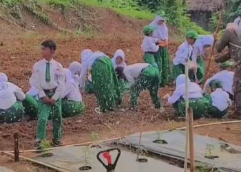 Siswa dan Siswi MI Sullamul Ulum Sarang Tiung Belajar Menanam Sayuran