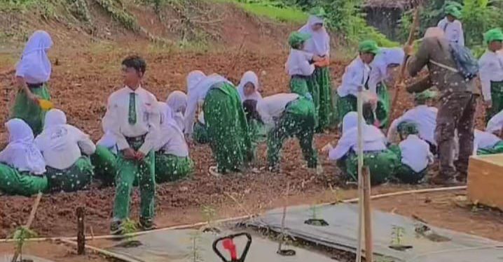 Siswa dan Siswi MI Sullamul Ulum Sarang Tiung Belajar Menanam Sayuran
