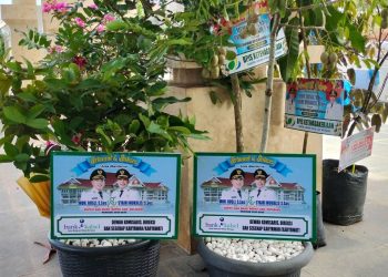 Lebih Bermanfaat, M Rusli Imbau Ucapan Karangan Bunga Diganti dengan Tanaman Hidup