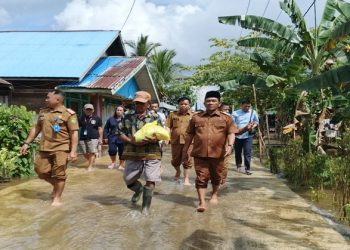 Pastikan Distribusi Bantuan Tepat Sasaran, Wakil Bupati Tinjau Sejumlah Lokasi Banjir