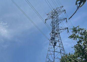 Terobos Cuaca Buruk Muara Teweh, PLN Gerak Cepat Lakukan Pemulihan Gangguan Jaringan Transmisi di Tengah Euforia Idulfitri