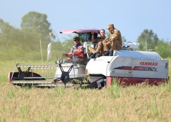 Panen Raya Padi, Komitmen Kalsel Berkontribusi terhadap Ketahanan Pangan Nasional