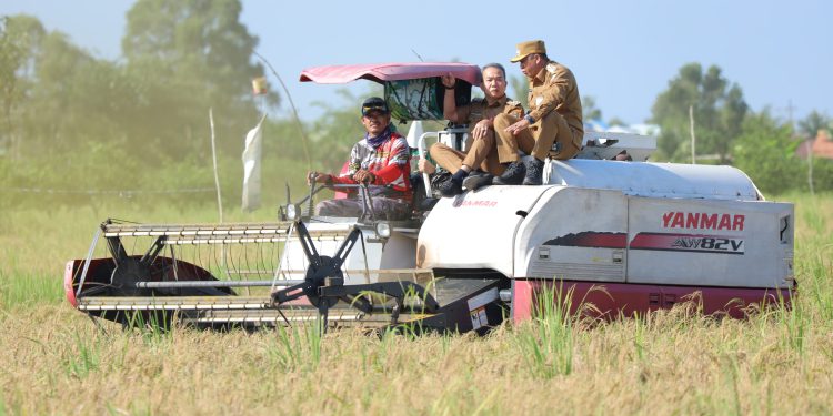 Panen Raya Padi, Komitmen Kalsel Berkontribusi terhadap Ketahanan Pangan Nasional
