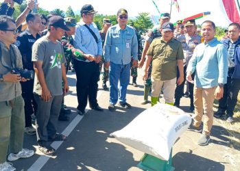 Target Serapan 3.200 Ton Beras, Perum Bulog Barabai Siap Terima Gabah Petani