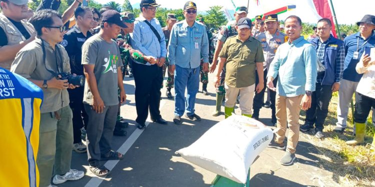 Target Serapan 3.200 Ton Beras, Perum Bulog Barabai Siap Terima Gabah Petani