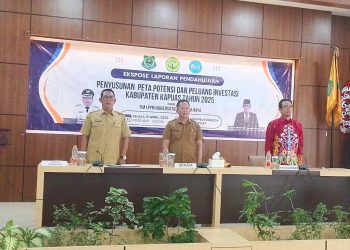 Dorong Pertumbuhan Ekonomi Daerah, DPMPTSP Kapuas Petakan Potensi Investasi