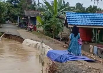 Dinas PUPR HST Segera Tangani Jalan Longsor di Desa Awang Baru