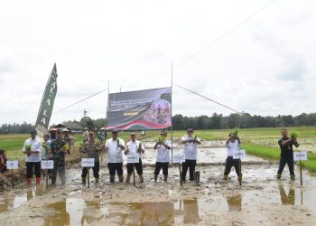 Sinergi Pemkab HST, Kodim 1002 dan Forkopimda Wujudkan Ketahanan Pangan