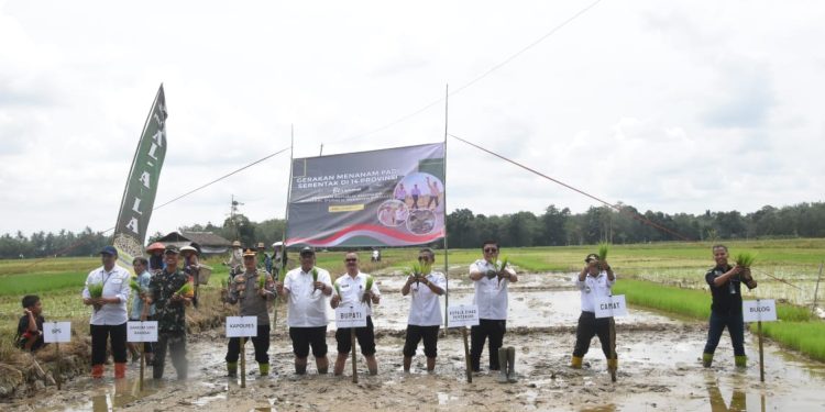 Sinergi Pemkab HST, Kodim 1002 dan Forkopimda Wujudkan Ketahanan Pangan