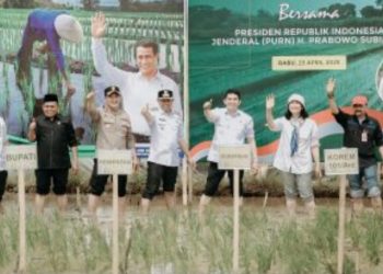 Penanaman Padi Serentak untuk Wilayah Kalsel Dipusatkan di Areal Persawahan Gunung Tinggi