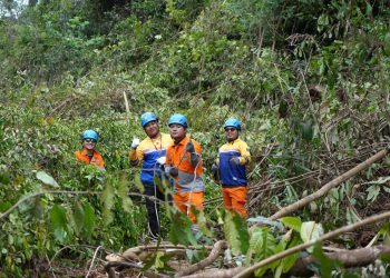 84 Jam di Tengah Hutan, Pejuang Kelistrikan PLN Amankan Transmisi Saat Idulfitri 1446 H