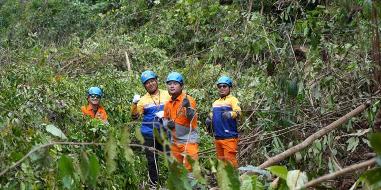 84 Jam di Tengah Hutan, Pejuang Kelistrikan PLN Amankan Transmisi Saat Idulfitri 1446 H