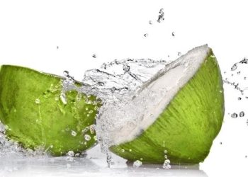 Daftar Kelompok Orang yang Tidak Boleh Minum Air Kelapa