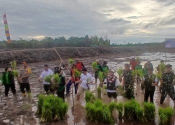 Tanam Perdana Cetak Sawah Rakyat Dimulai di Kapuas