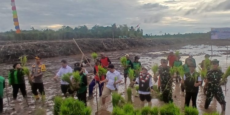 Tanam Perdana Cetak Sawah Rakyat Dimulai di Kapuas