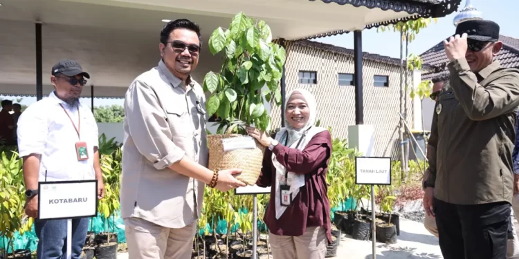 Dukung Ketahanan Pangan, Tanbu Terima 500 Bibit Tanaman dari Kemenhut