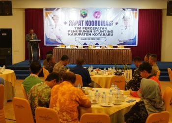 Syairi Mukhlis Optimistis Target Percepatan Penurunan Stunting Tercapai