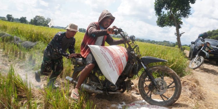 Semangat Kebersamaan, Satgas TMMD Bantu Petani Bawa Hasil Panen
