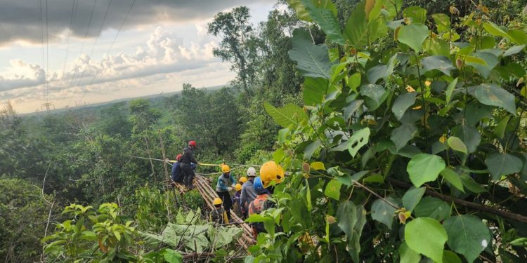 Respons Kilat PLN, Gangguan Transmisi Diatasi dalam 19 Jam Meski Medan Ekstrem