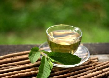 Manfaat Daun Jambu Biji, Dari Atasi Diare hingga Cegah Jerawat