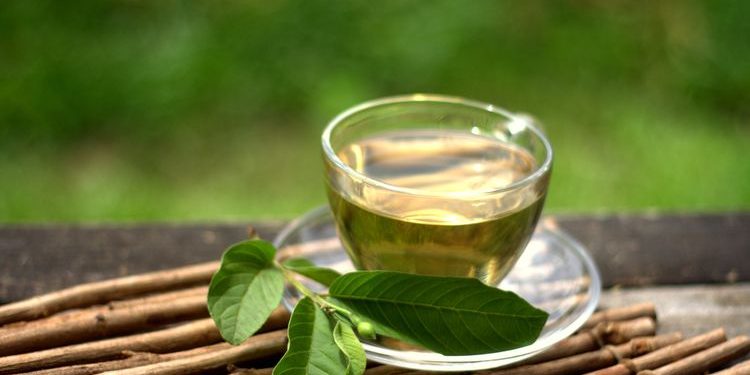 Manfaat Daun Jambu Biji, Dari Atasi Diare hingga Cegah Jerawat