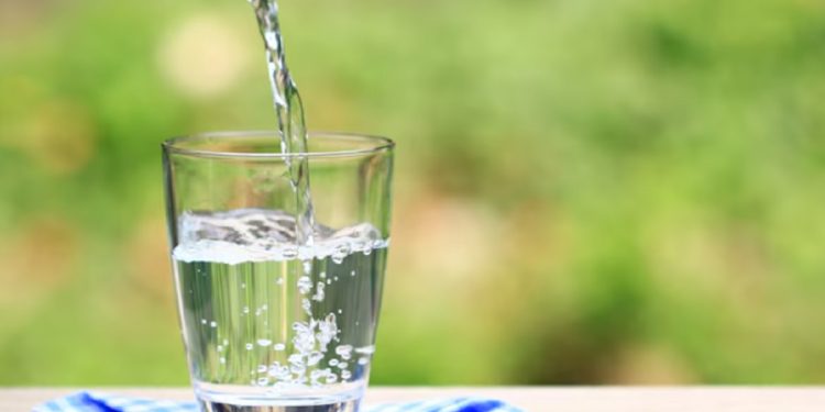 Pentingnya Rajin Minum Air Putih untuk Jaga Kesehatan Ginjal