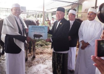 Serahkan Bantuan Sapi Kurban, Gubernur Kalsel: Bagikan Dagingnya kepada Masyarakat yang Berhak