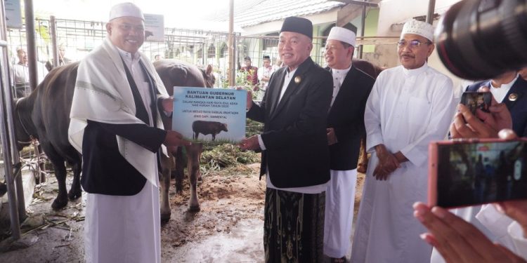 Serahkan Bantuan Sapi Kurban, Gubernur Kalsel: Bagikan Dagingnya kepada Masyarakat yang Berhak
