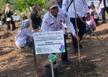 Gubernur Kalsel Apresiasi Penanaman 2.200 Pohon Program TJSL PLN UIP3B Kalimantan di Tahura