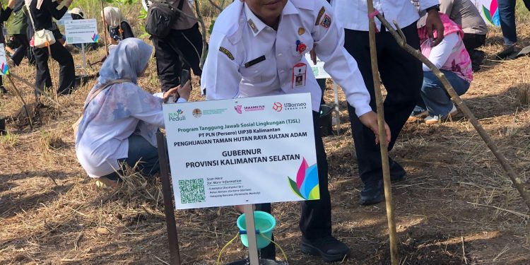 Gubernur Kalsel Apresiasi Penanaman 2.200 Pohon Program TJSL PLN UIP3B Kalimantan di Tahura