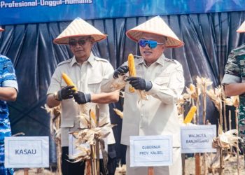 Panen Raya Jagung, Gubernur Kalsel Apresiasi Ketahanan Pangan yang Digagas Lanud Sjamsuddin Noor