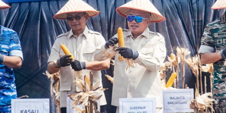 Panen Raya Jagung, Gubernur Kalsel Apresiasi Ketahanan Pangan yang Digagas Lanud Sjamsuddin Noor