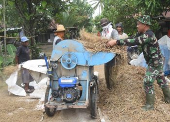 Tunjukkan Kepedulian, Satgas TMMD Bantu Warga Rontokan Padi