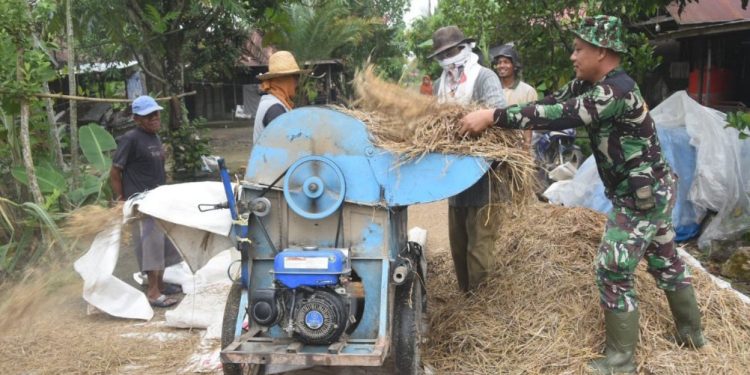 Tunjukkan Kepedulian, Satgas TMMD Bantu Warga Rontokan Padi