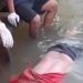 Jenazah Diduga Korban Penganiayaan Ditemukan Mengapung di Sungai Martapura