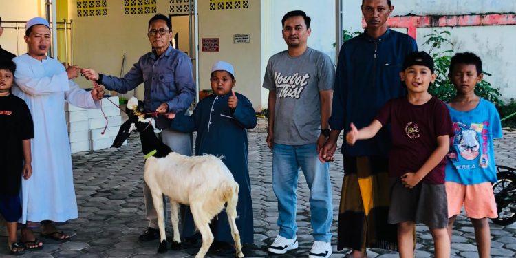 Sambut Idul Adha, Citimall Kuala Kapuas Bagikan Hewan Qurban untuk Masyarakat