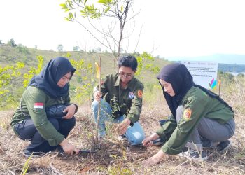 Peduli Lingkungan, PLN Tanam 2.200 Pohon di Tahura Sultan Adam