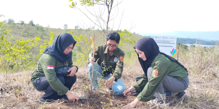 Peduli Lingkungan, PLN Tanam 2.200 Pohon di Tahura Sultan Adam