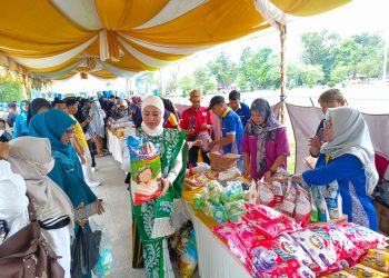 Ketua TP PKK HST Ajak Semua Kader Terus Bersinergi